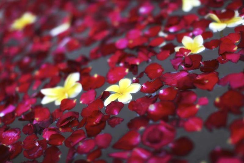 Kecapi Villa Seminyak By Ini Vie Hospitality Zewnętrze zdjęcie